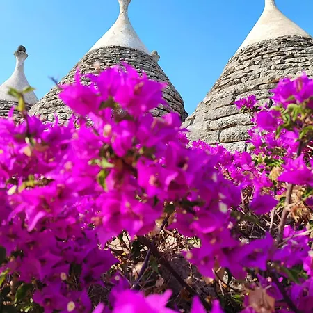 Casa de Férias Trullo Amalia Con Piscina Privata Latiano