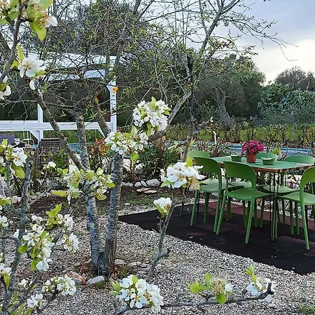 Holiday home Trullo Amalia Con Piscina Privata