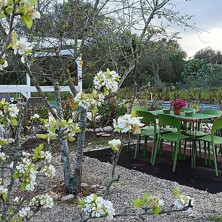 Casa de Férias Trullo Amalia Con Piscina Privata
