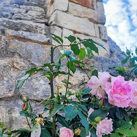 Trullo Amalia Con Piscina Privata 別荘 *