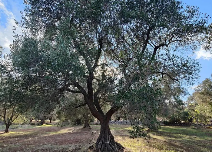 Trullo Amalia Con Piscina Privata 度假居