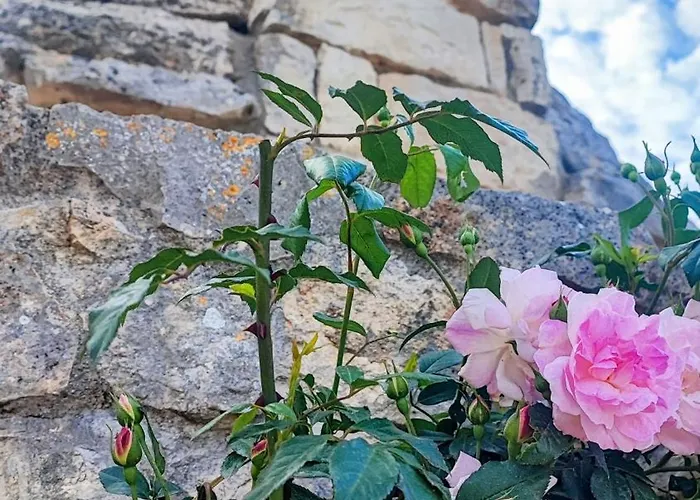 Trullo Amalia Con Piscina Privata Hébergement de vacances *